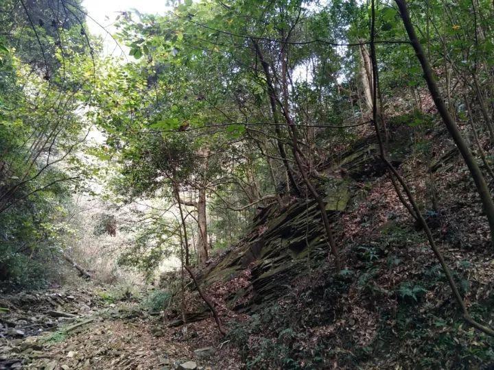 竞技宝如何