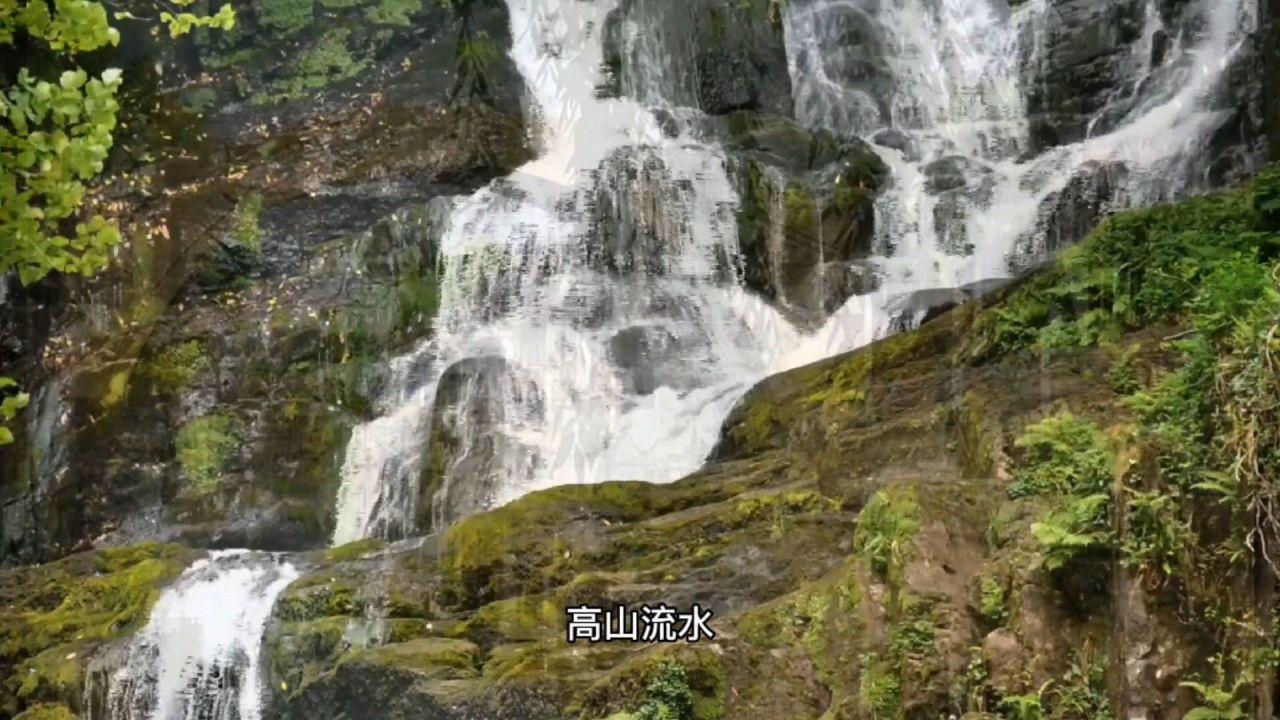 深入了解为什么有些衣服不能机洗,知识星球平台带你启迪思维