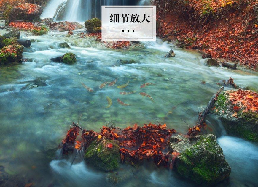 一个女人长得特别丑是不是不配当女人?-专注分享知识的星球平台