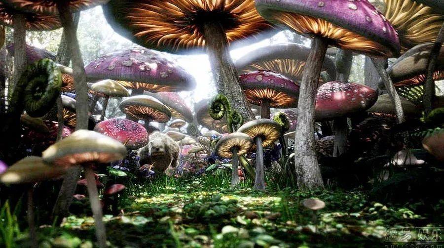 探索刘禅投降后蜀汉灭亡,为什么会得到司马昭的优待?!最全面的刘禅投降后蜀汉灭亡,为什么会得到司马昭的优待?讨论平台!